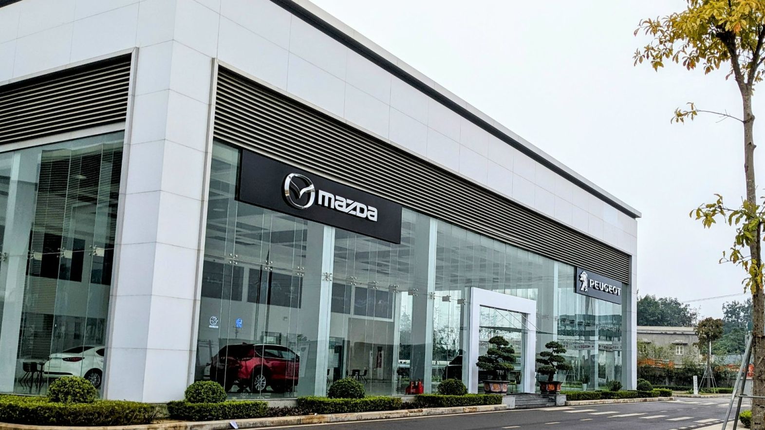 Thanh Hoá: Đại lý Mazda Hoằng Hóa